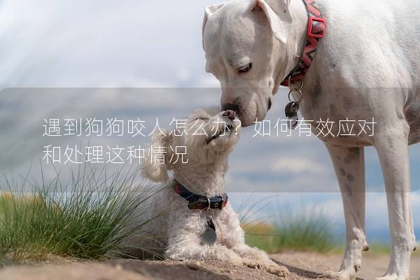 遇到狗狗咬人怎么辦？如何有效應對和處理這種情況