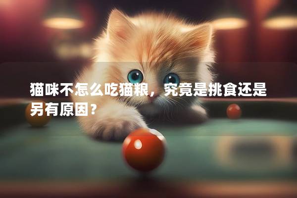 貓咪不怎么吃貓糧，究竟是挑食還是另有原因？
