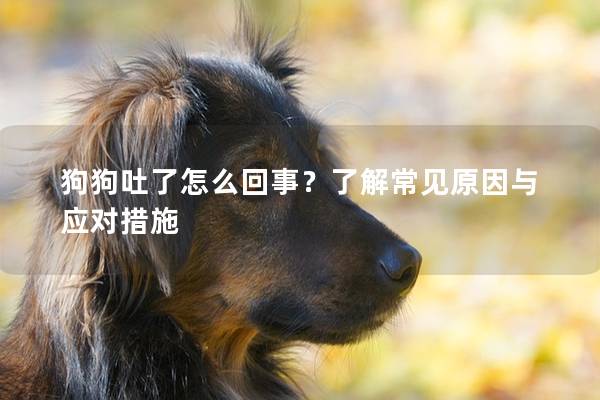 狗狗吐了怎么回事？了解常見(jiàn)原因與應(yīng)對(duì)措施