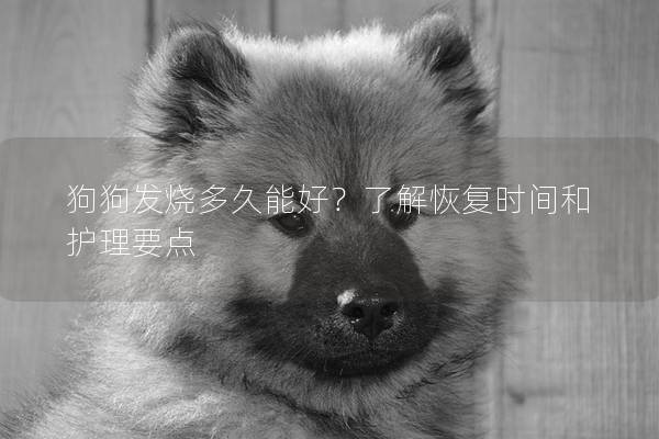 狗狗發燒多久能好？了解恢復時間和護理要點