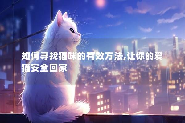如何尋找貓咪的有效方法,讓你的愛貓安全回家