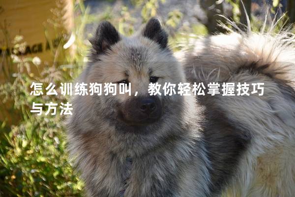 怎么訓(xùn)練狗狗叫,教你輕松掌握技巧與方法 怎么訓(xùn)練狗狗叫,教你輕松掌握技巧與方法