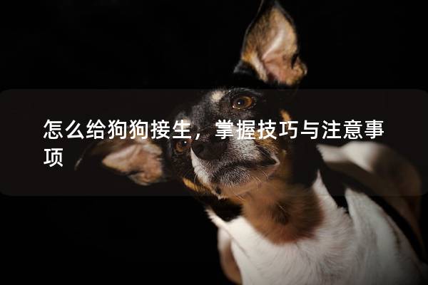怎么給狗狗接生，掌握技巧與注意事項