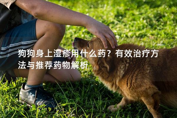 狗狗身上濕疹用什么藥？有效治療方法與推薦藥物解析