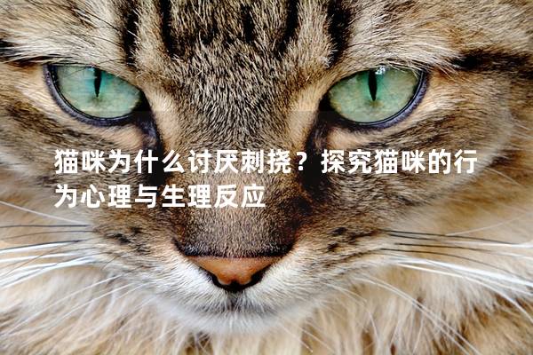 貓咪為什么討厭刺撓?探究貓咪的行為心理與生理反應(yīng) 貓咪為什么討厭刺撓?探究貓咪的行為心理與生理反應(yīng)