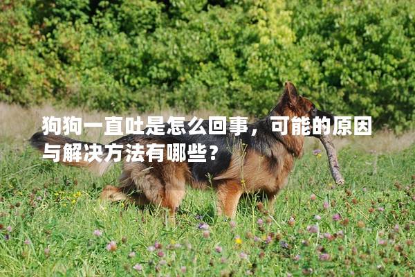 狗狗一直吐是怎么回事，可能的原因與解決方法有哪些？