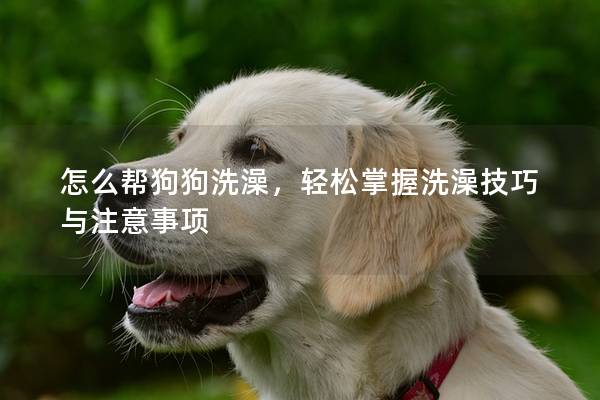 怎么幫狗狗洗澡，輕松掌握洗澡技巧與注意事項