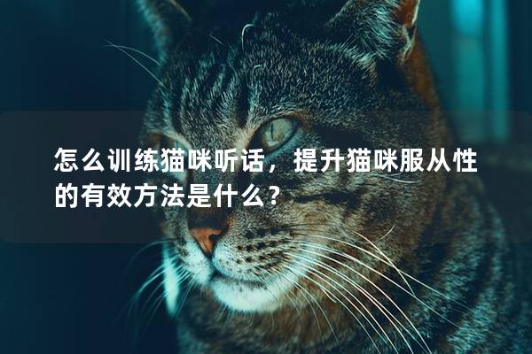 怎么訓練貓咪聽話,提升貓咪服從性的有效方法是什么? 怎么訓練貓咪聽話,提升貓咪服從性的有效方法是什么?