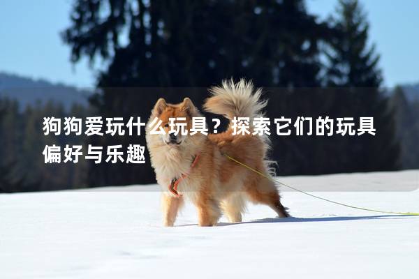 狗狗愛玩什么玩具？探索它們的玩具偏好與樂趣