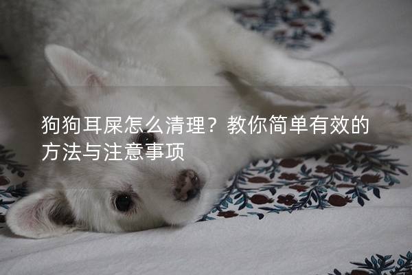 狗狗耳屎怎么清理？教你簡單有效的方法與注意事項