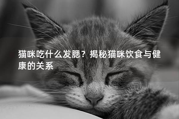 貓咪吃什么發(fā)腮？揭秘貓咪飲食與健康的關(guān)系