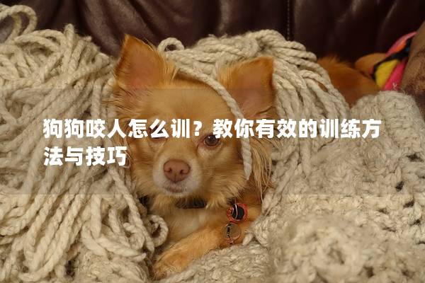 狗狗咬人怎么訓？教你有效的訓練方法與技巧