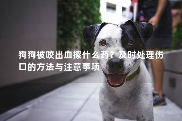 狗狗被咬出血擦什么藥？及時處理傷口的方法與注意事項