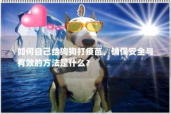 如何自己給狗狗打疫苗，確保安全與有效的方法是什么？