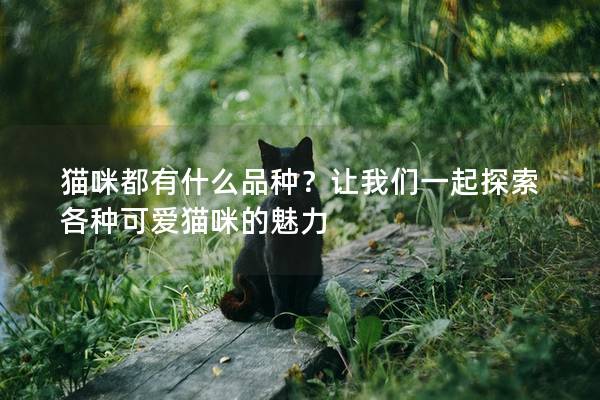 貓咪都有什么品種？讓我們一起探索各種可愛貓咪的魅力