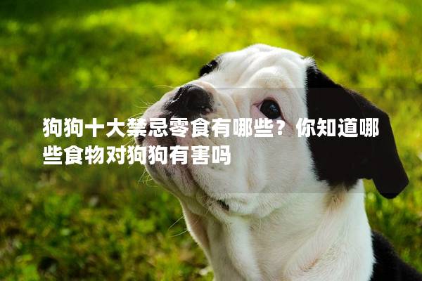 狗狗十大禁忌零食有哪些？你知道哪些食物對狗狗有害嗎