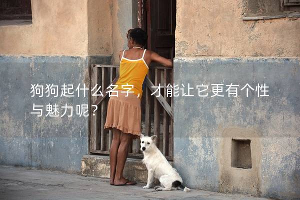 狗狗起什么名字,才能讓它更有個性與魅力呢? 狗狗起什么名字,才能讓它更有個性與魅力呢?