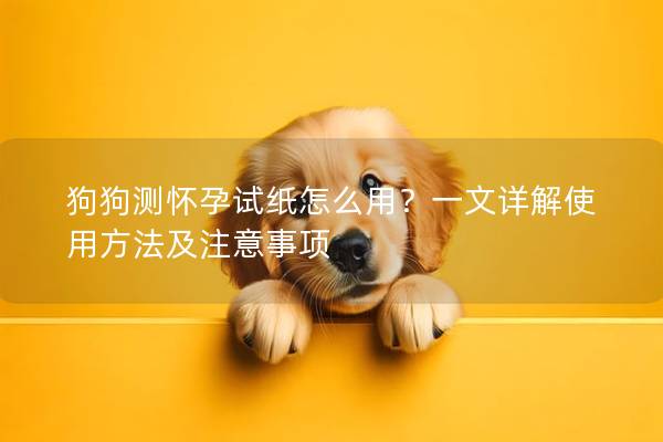 狗狗測懷孕試紙怎么用？一文詳解使用方法及注意事項