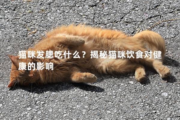 貓咪發腮吃什么?揭秘貓咪飲食對健康的影響 貓咪發腮吃什么?揭秘貓咪飲食對健康的影響