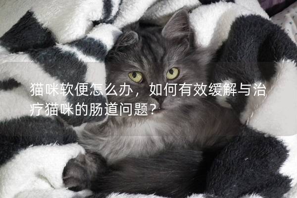 貓咪軟便怎么辦，如何有效緩解與治療貓咪的腸道問題？