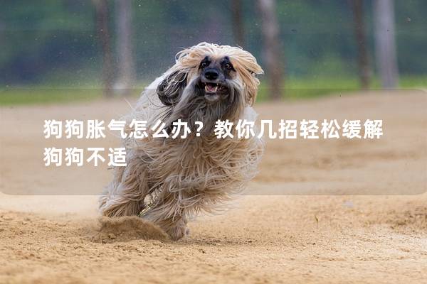 狗狗脹氣怎么辦?教你幾招輕松緩解狗狗不適 狗狗脹氣怎么辦?教你幾招輕松緩解狗狗不適