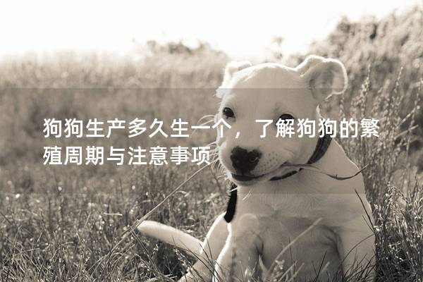 狗狗生產多久生一個，了解狗狗的繁殖周期與注意事項