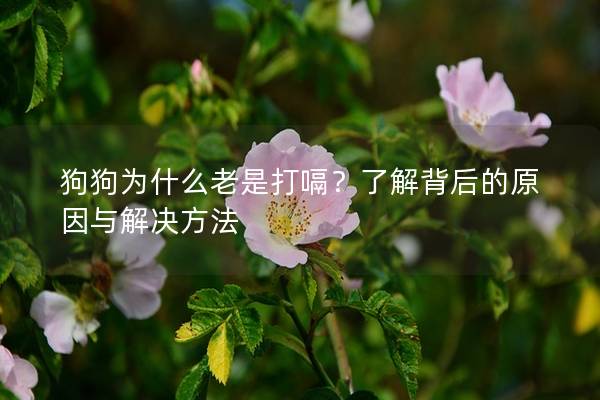 狗狗為什么老是打嗝？了解背后的原因與解決方法