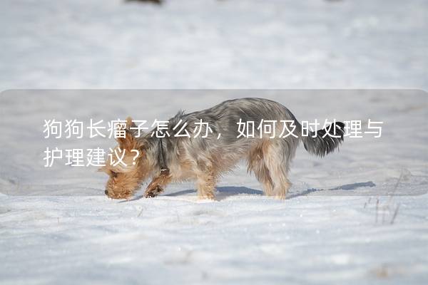 狗狗長瘤子怎么辦，如何及時處理與護理建議？