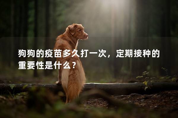 狗狗的疫苗多久打一次，定期接種的重要性是什么？