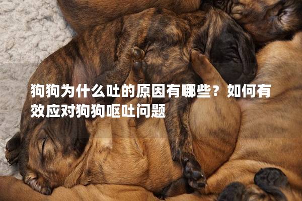 狗狗為什么吐的原因有哪些？如何有效應對狗狗嘔吐問題