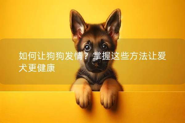 如何讓狗狗發情?掌握這些方法讓愛犬更健康 如何讓狗狗發情?掌握這些方法讓愛犬更健康