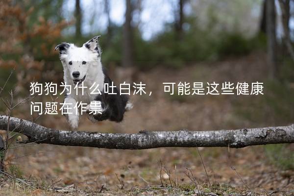 狗狗為什么吐白沫，可能是這些健康問(wèn)題在作祟