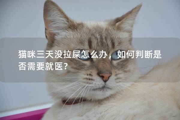 貓咪三天沒拉屎怎么辦，如何判斷是否需要就醫(yī)？