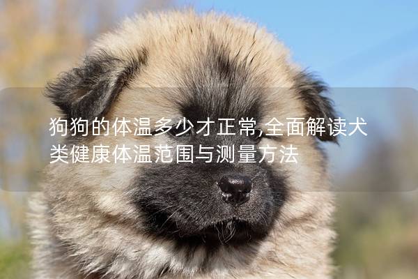 狗狗的體溫多少才正常,全面解讀犬類健康體溫范圍與測量方法