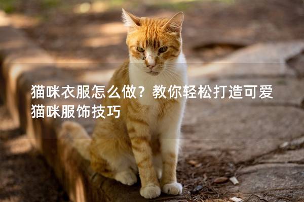 貓咪衣服怎么做？教你輕松打造可愛(ài)貓咪服飾技巧