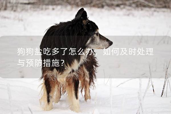 狗狗鹽吃多了怎么辦,如何及時(shí)處理與預(yù)防措施? 狗狗鹽吃多了怎么辦,如何及時(shí)處理與預(yù)防措施?