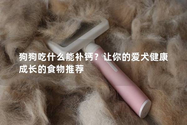 狗狗吃什么能補鈣？讓你的愛犬健康成長的食物推薦