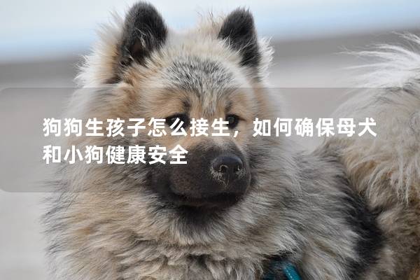 狗狗生孩子怎么接生，如何確保母犬和小狗健康安全
