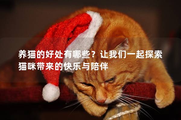 養(yǎng)貓的好處有哪些？讓我們一起探索貓咪帶來的快樂與陪伴