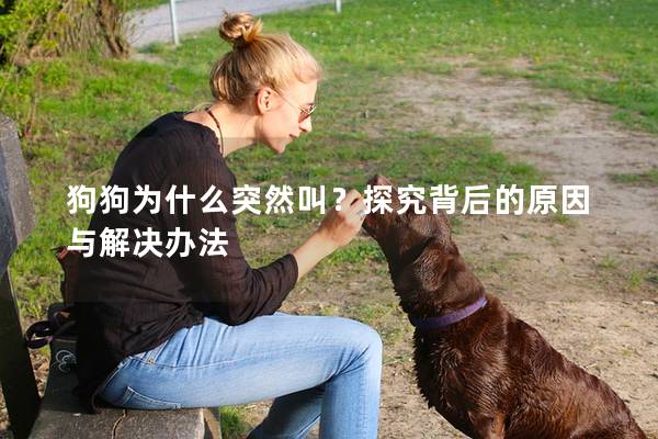 狗狗為什么突然叫？探究背后的原因與解決辦法