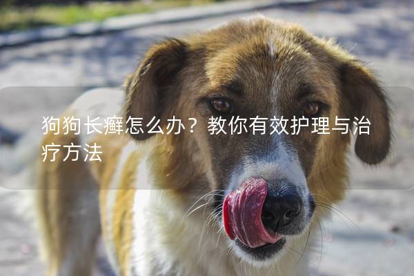 狗狗長癬怎么辦？教你有效護(hù)理與治療方法