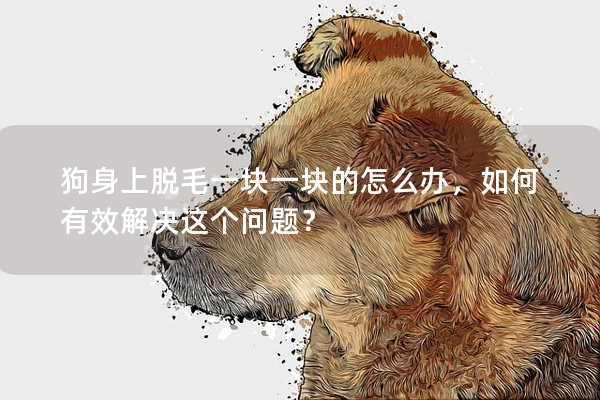 狗身上脫毛一塊一塊的怎么辦,如何有效解決這個問題? 狗身上脫毛一塊一塊的怎么辦,如何有效解決這個問題?