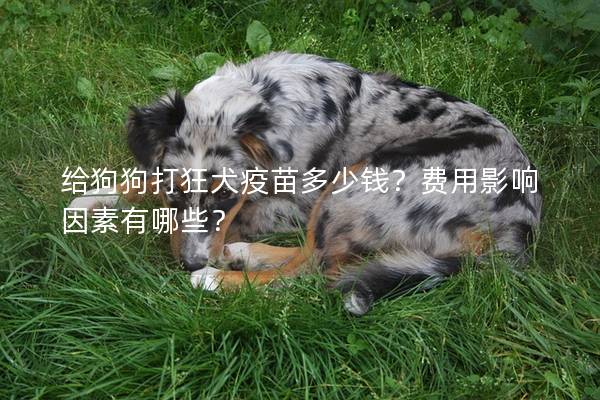 給狗狗打狂犬疫苗多少錢？費用影響因素有哪些？