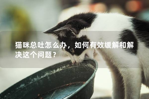 貓咪總吐怎么辦，如何有效緩解和解決這個問題？