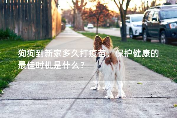 狗狗到新家多久打疫苗，保護健康的最佳時機是什么？