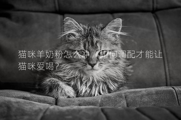 貓咪羊奶粉怎么沖，如何調配才能讓貓咪愛喝？