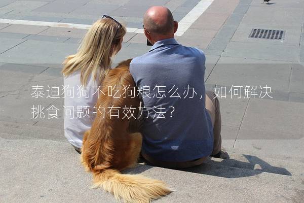 泰迪狗狗不吃狗糧怎么辦，如何解決挑食問題的有效方法？
