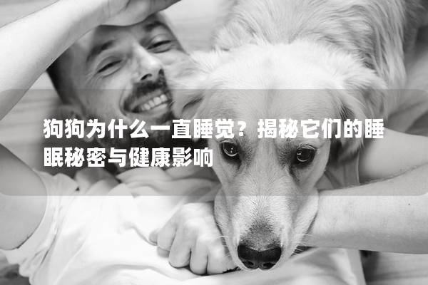 狗狗為什么一直睡覺(jué)？揭秘它們的睡眠秘密與健康影響