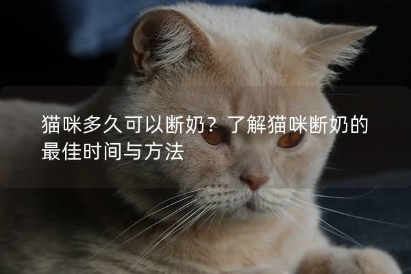 貓咪多久可以斷奶？了解貓咪斷奶的最佳時間與方法