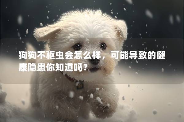 狗狗不驅蟲會怎么樣，可能導致的健康隱患你知道嗎？